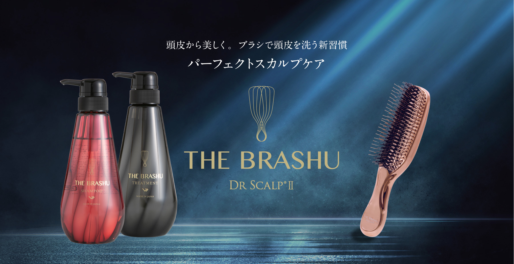 DR SCALP】 THE BRASHU