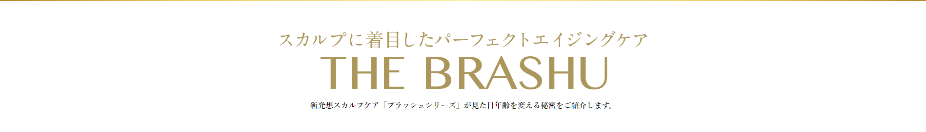 DR SCALP】 THE BRASHU